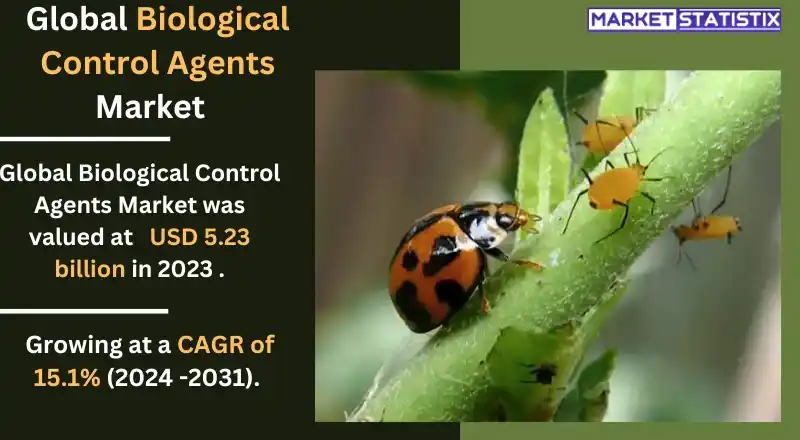 Field application of biological control agents to manage crop pests