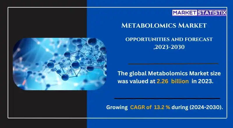Metabolomics workflow showing sample preparation, analysis, and data interpretation