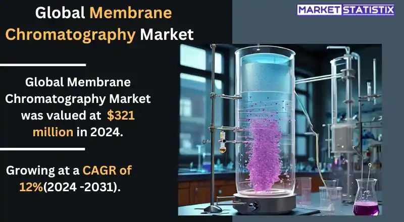 Membrane chromatography applications in pharmaceutical manufacturing