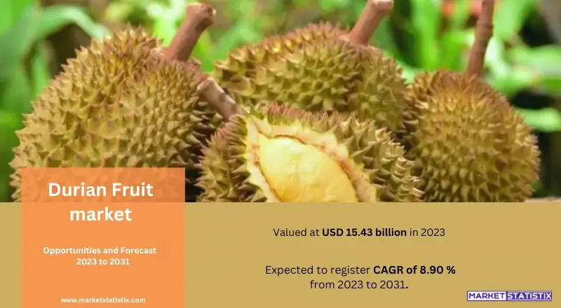 Durian fruit market forecast and key producing countries.