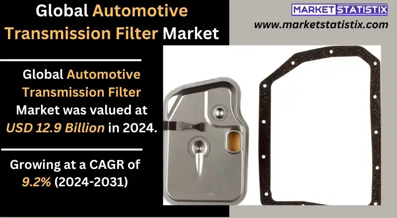 New automotive transmission filters on display at an auto parts store