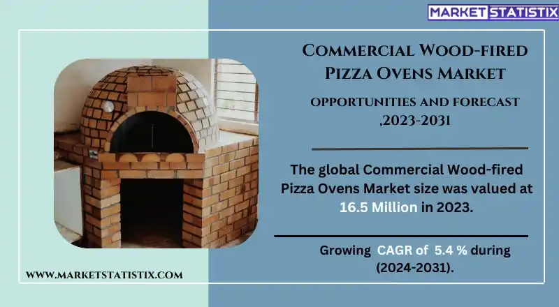 Commercial wood-fired pizza oven with a traditional brick design used for cooking artisanal pizzas