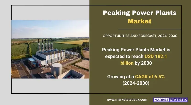 Growth factors and consumer preferences in the Peaking Power Plants Market