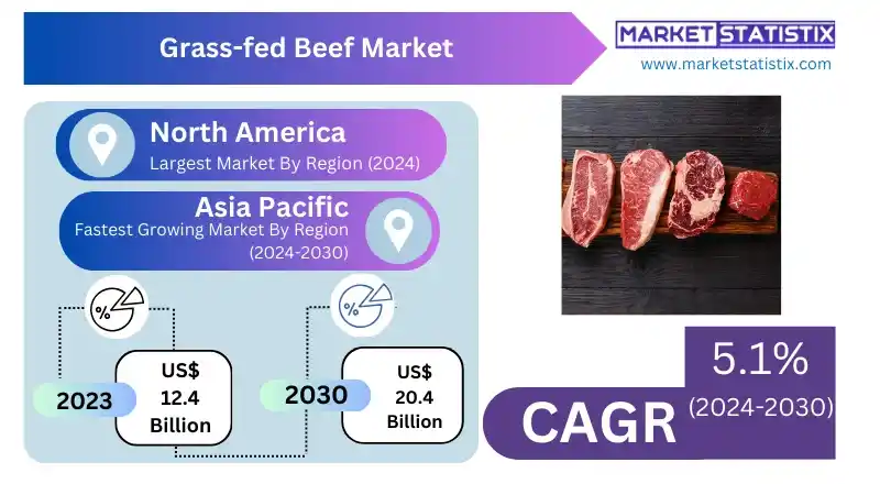 Graph depicting the global growth trend of the grass-fed beef market