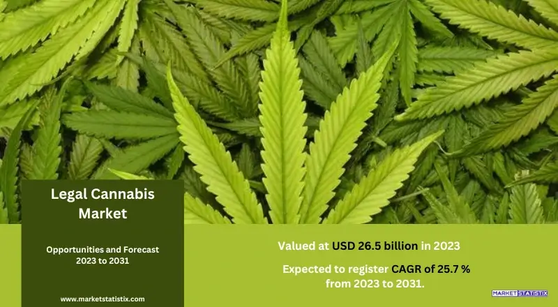 Legal Cannabis Market overview showcasing the growth of the cannabis industry, medical and recreational use, regulatory developments, and emerging trends in cultivation and distribution.
