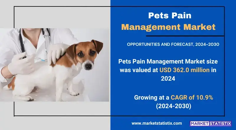 Pets Pain Management Market Overview and Trends in Veterinary Pain Relief Solutions