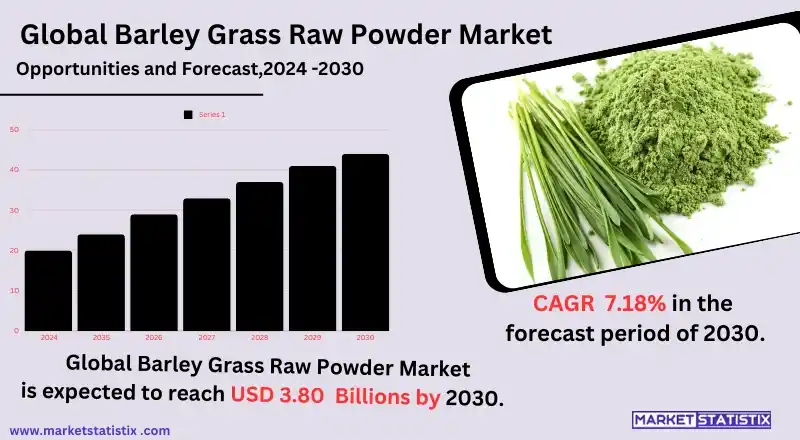 Barley grass plants