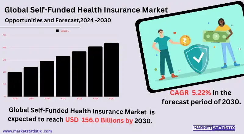 "Self-funded health insurance market trends, types, applications, and growth.