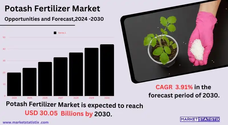 Overview of America Potash Fertilizer Market trends and analysis.
