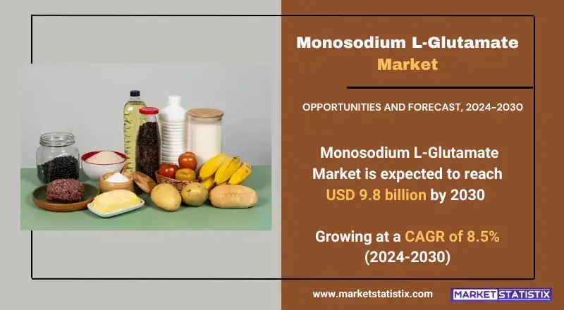 Monosodium L-Glutamate Market, highlighting applications, production, and industry trends