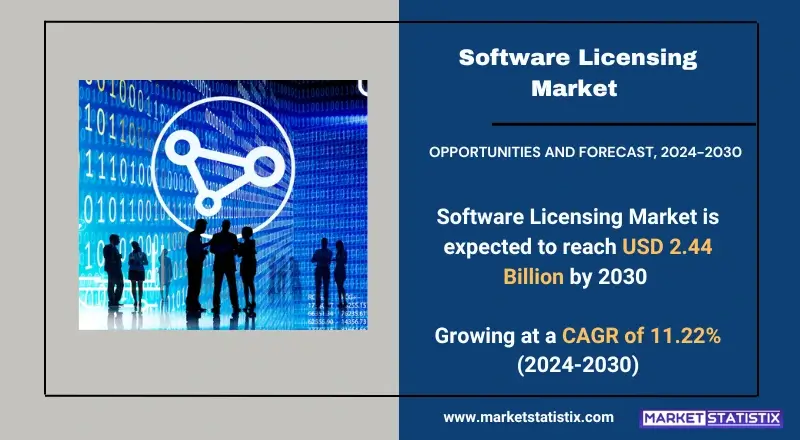 Software Licensing Market, highlighting product types, technologies