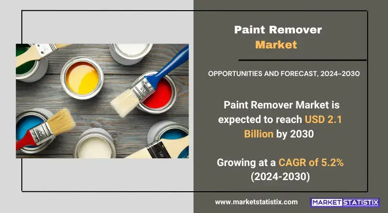 Paint Remover Market, highlighting product types, technologies