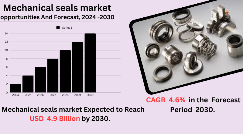 Mechanical Seals Market Analysis and Growth Trends