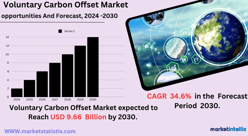 Reducing carbon footprints through voluntary offset programs
