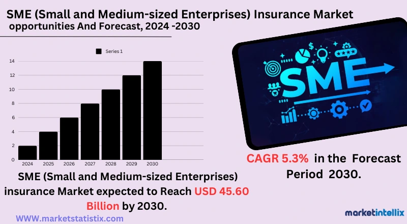 Coverage options for small and medium-sized enterprises