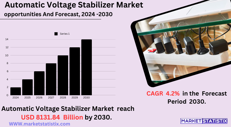 Automatic Voltage Stabilizer Industry Analysis and Forecas