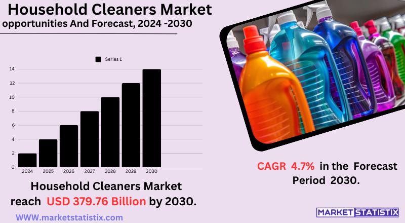 Household cleaners market trends, growth, and industry analysis.