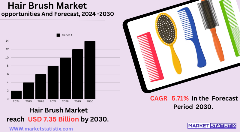 Various types of hairbrushes displayed, representing trends and products in the hairbrush market