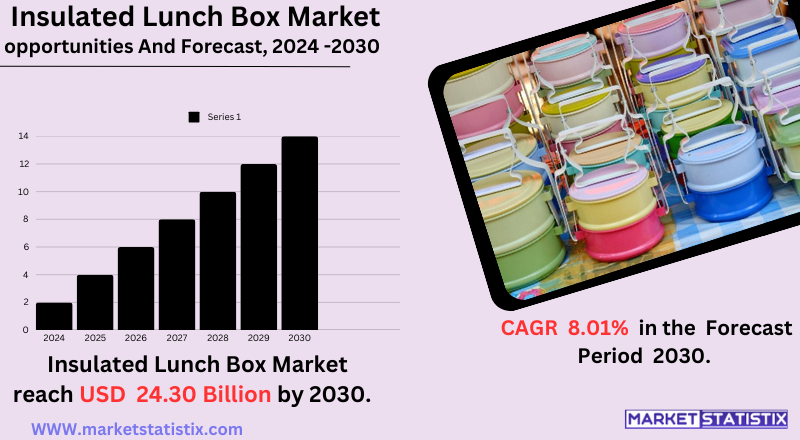Insulated Lunch Box Market Trends, Growth, and Key Players Worldwide