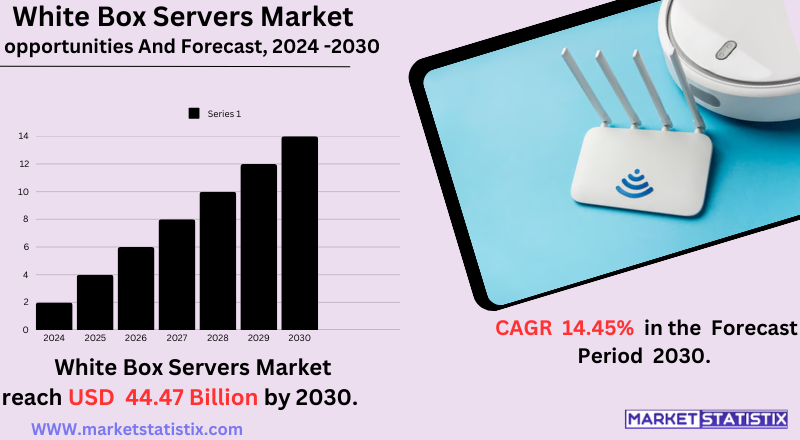 White box servers market trends, growth, and key manufacturers.