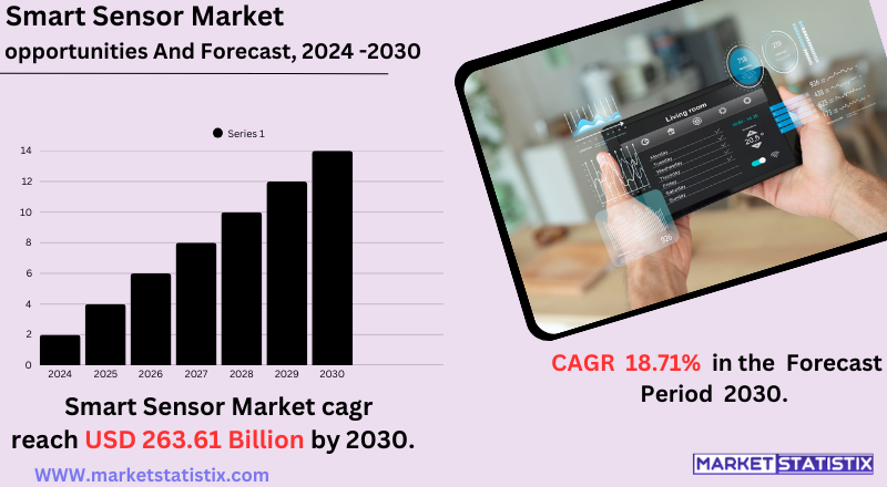 Graphical representation of the Smart Sensor Market trends, showcasing industry growth, key applications, and technological advancements