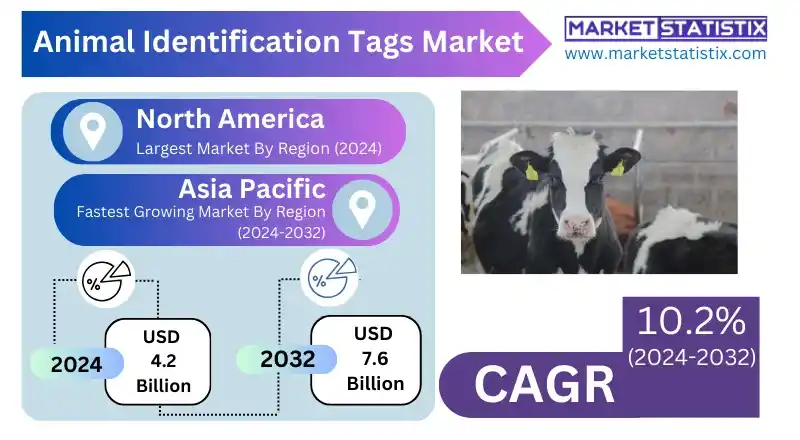 Animal identification tags attached to cattle for tracking and monitoring.