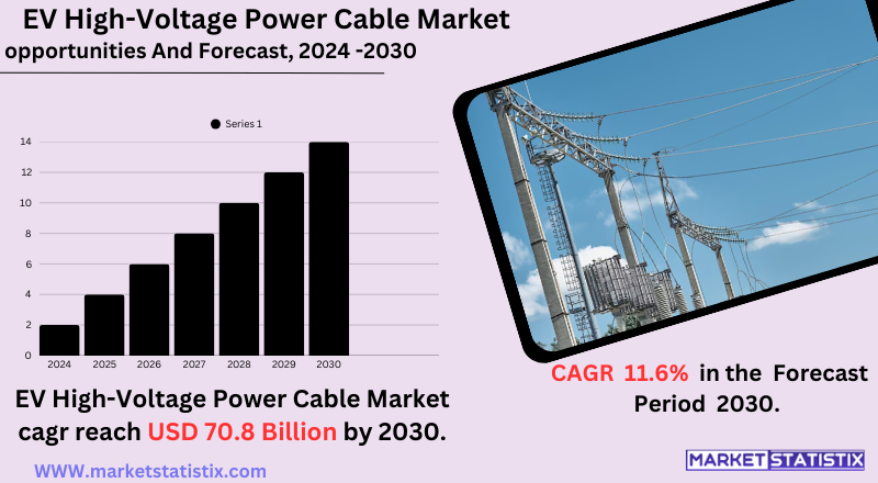 EV high-voltage power cables used in electric vehicles for efficient energy transmission.