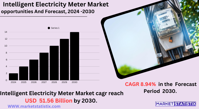 Graphical representation of the global intelligent electricity meter market trends, including growth factors, key players, and industry insights.