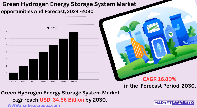 Infographic detailing growth trends in the green hydrogen energy storage system sector