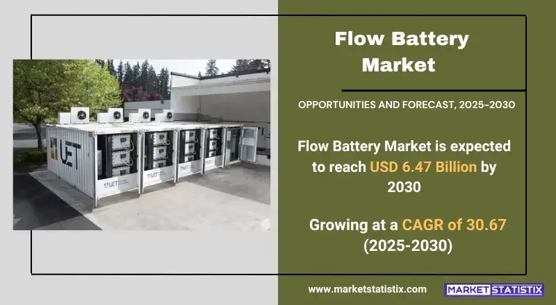 Flow Battery Market Size, Share & Trends Analysis Report, Forecast