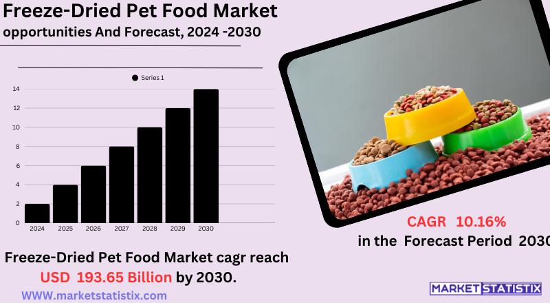Fresh pet food with visible meat and vegetables served in a pet bowl